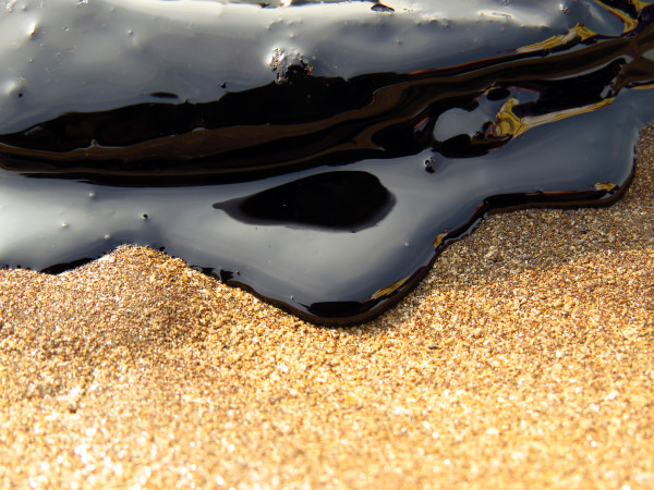 SORBENT European