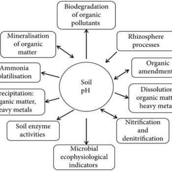 rol os soil