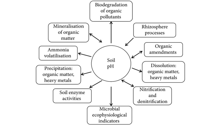 rol os soil