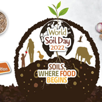 soils